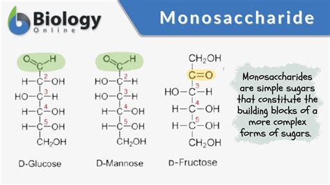 Types of Monosaccharides